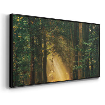 Shine On- Framed Gallery Wrapped Canvas -Ready to Hang