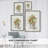 Winter Pine I Framed Print - Solid Wood-856833463