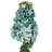 Tige d'Hortensia Milnor-1676873898