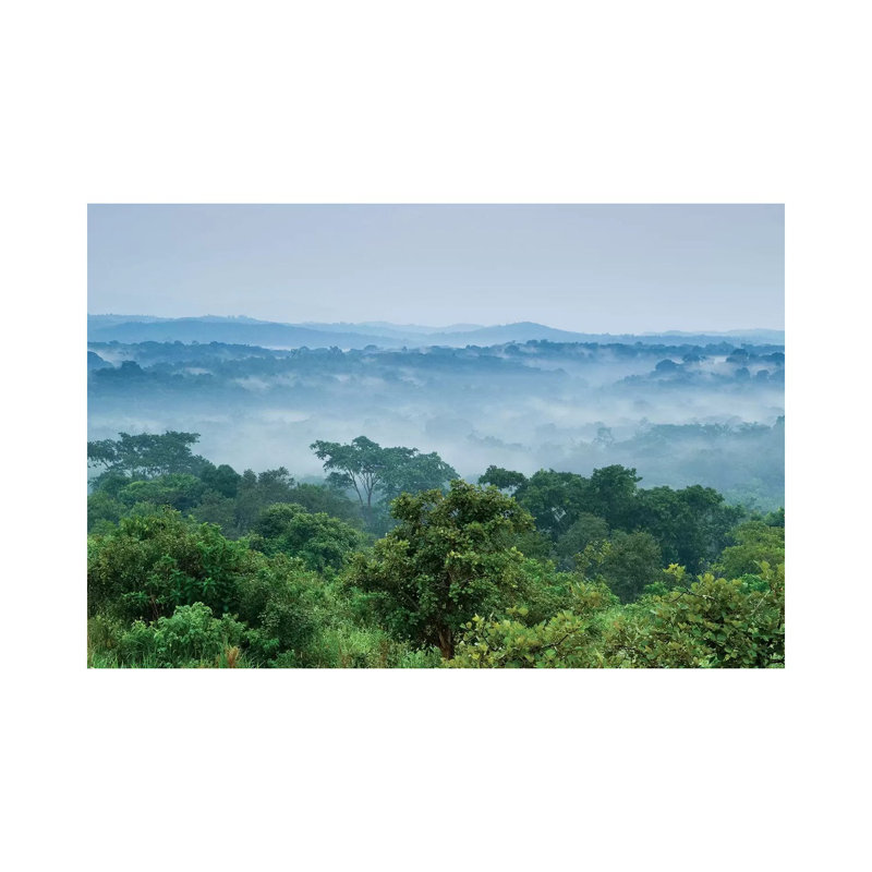 Tropical Rainforest, Kibale National Park, Western Uganda by Sebastian Kennerknecht - Wrapped Canvas Print