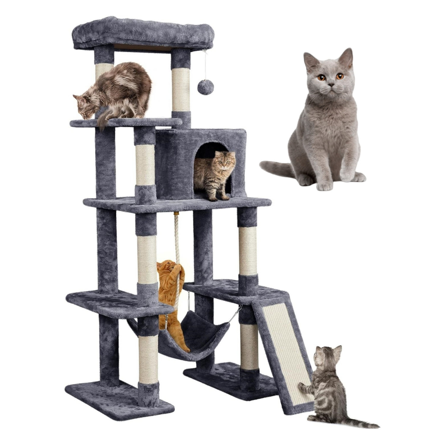 Tucker Murphy Pet™ 63