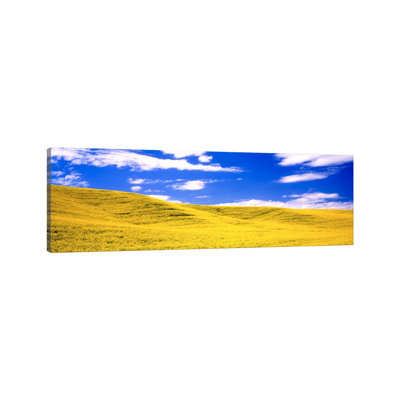 Canola Fields, Washington State, USA - Wrapped Canvas Panoramic Print