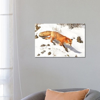Winter Fox by Brian Wolf - Wrapped Canvas Print
