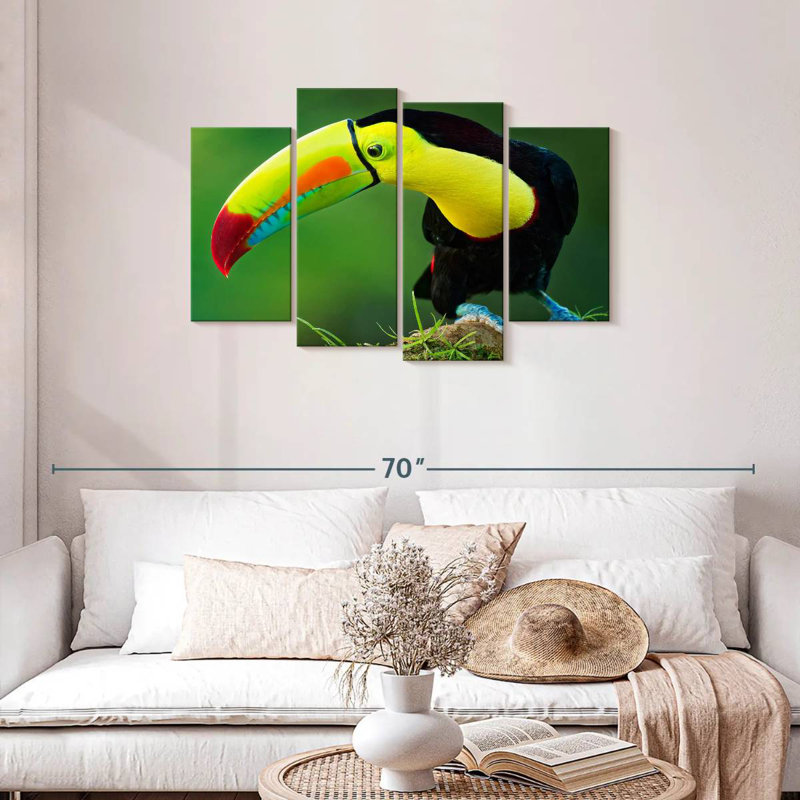 Toucan Brampt