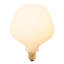 6 Watt White LED Bulb