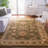 Klose Performance Oriental Rug-19261306