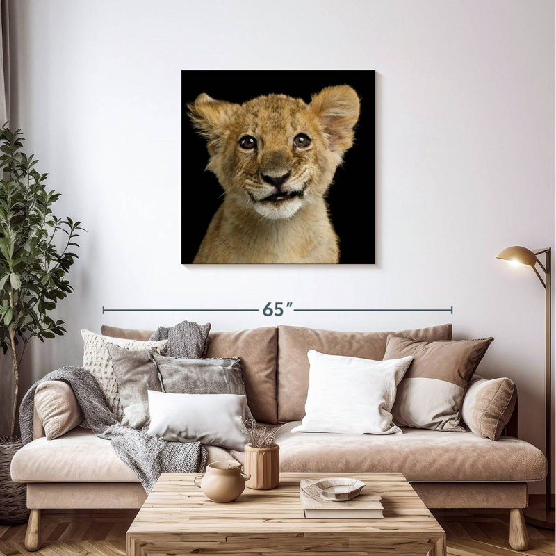 Brampt Baby Lion Head, 36" H x 36" W