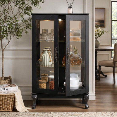 Curio Cabinet with Tempered Glass Doors, Lighted Display Cabinet with Mirrored Back Panel & Adjustable Shelves for Home or Office (Light Bulb Included) - Black