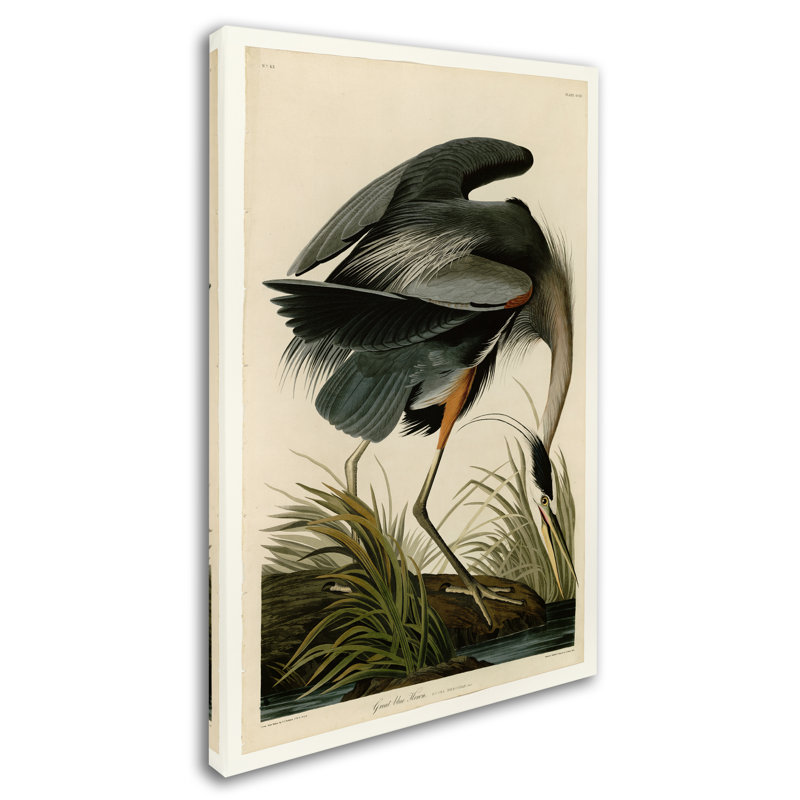 « great blue héron », impression sur toile tendue, H 19 po x l 14 po x P 2 po