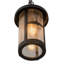 Lanterne suspendue d’extérieur 1 luminosité Bonefish Fulton