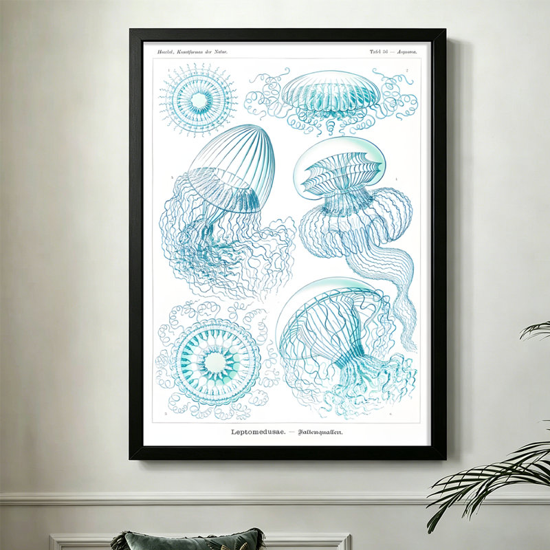Illustration moderne et abstraite de méduse: Représentations détaillées de diverses espèces, style d'art botanique scientifique. Art mural 24 "x 36" avec cadre en bois noir