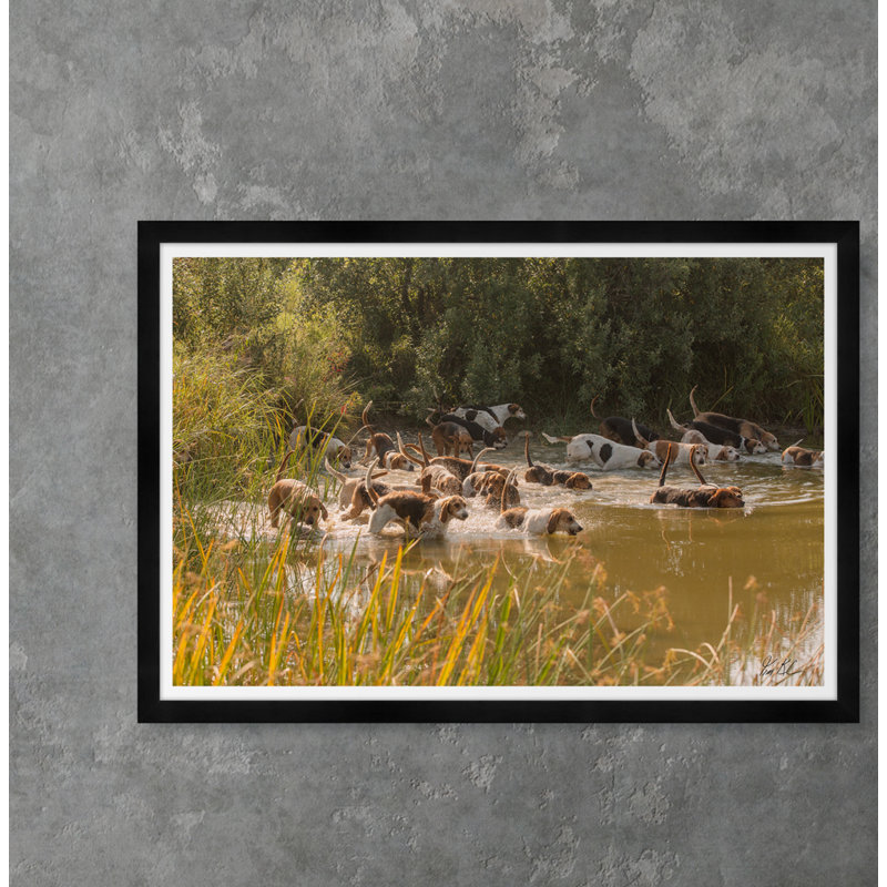 Hunt Club Swim Print