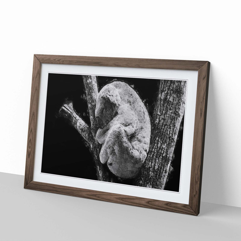 Koala Bear Resting in a Tree - Picture Frame Photograph Print, Walnut Framed, 27cm H x 36cm W x 2cm D