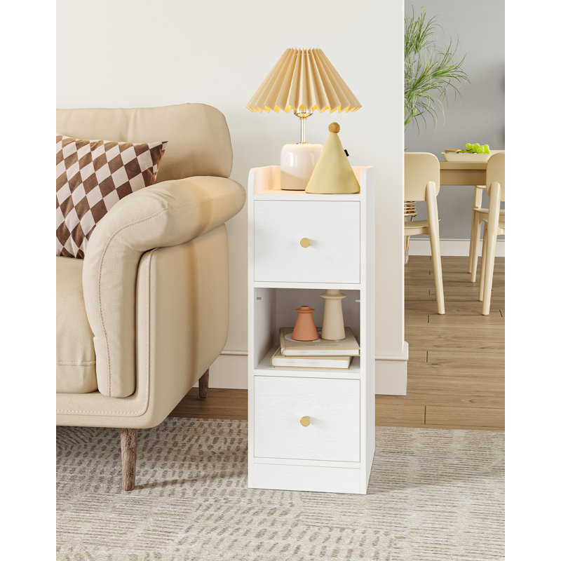 Slim Bedside Tables Set of 2, Narrow Side Table with 2 Drawers, Bedside Cabinet with Open Compartment, Adjustable Drawer Position for Bedroom, Living Room, 30 x 24 x 65 cm 