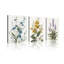 3 Piece Wrapped Canvas Wall Art