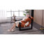 Fauteuil d'appoint 33,5 pouces Mid Century Modern-1235102823