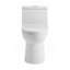 Daxton One Piece Elongated Dual Flush Toilet