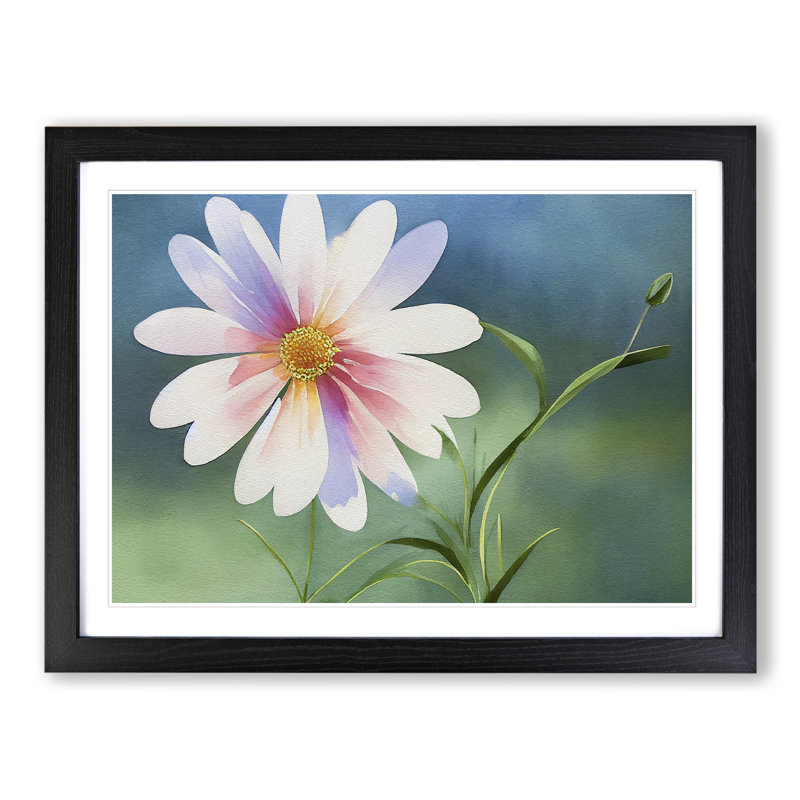 Watercolour Daisy Flower Vol.2 - Framed Print, Black, 25cm H x 34cm W x 2cm D
