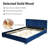 Amatia Upholstered Metal Platform Bed-1395862836-1395862841