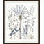 Botanic Birds 2 Print