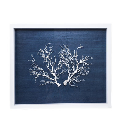 Sealife Print