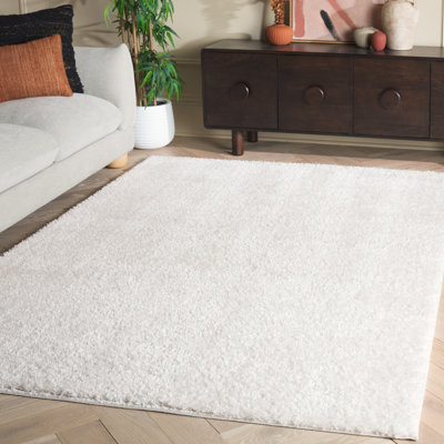 Tyniyah Penelope Shag Performance Solid Color Rug