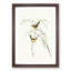 Exile Warbler by Elizabeth Gould - Picture Frame Painting Print-55535872-55535873