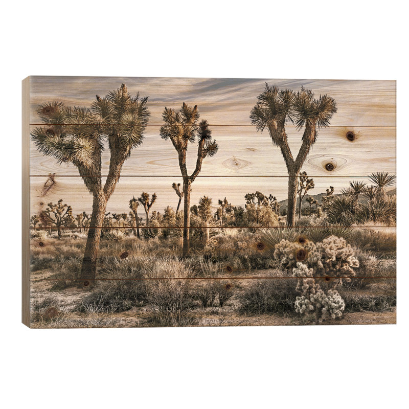 «Joshua Tree Views IX» par Rachel Perry, impression sur bois sans cadre, L 26 po x H 18 po