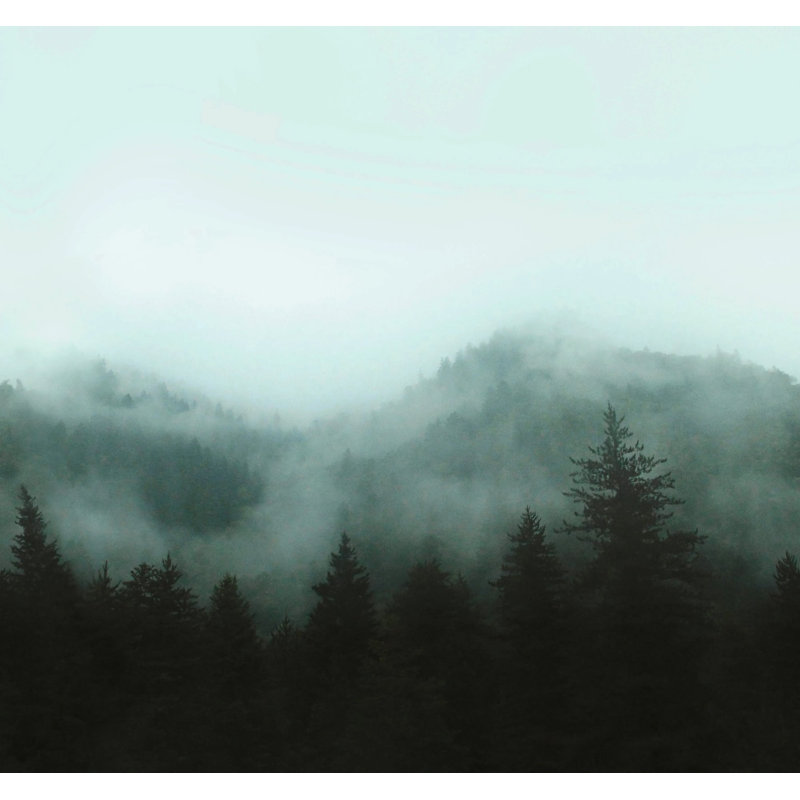 Superfresco Easy Misty Landscape Print To Order Fixed Size 2.8m x 3m Mural, Teal 