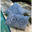 Coussin décoratif Sunbrella