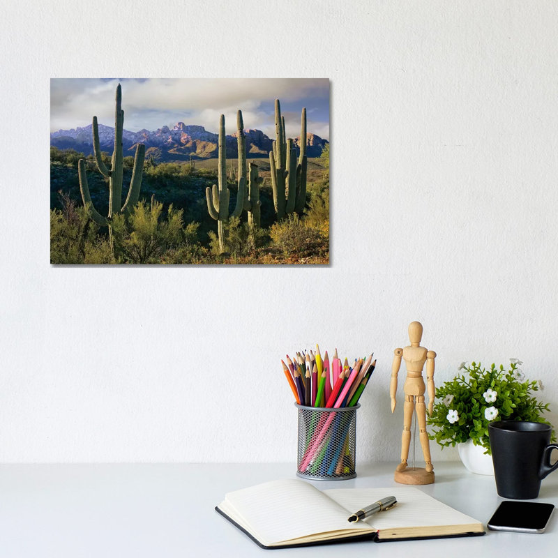 Saguaro Cacti And Santa Catalina Mountains, Arizona by Tim Fitzharris - Wrapped Canvas Gallery-Wrapped Canvas Giclée