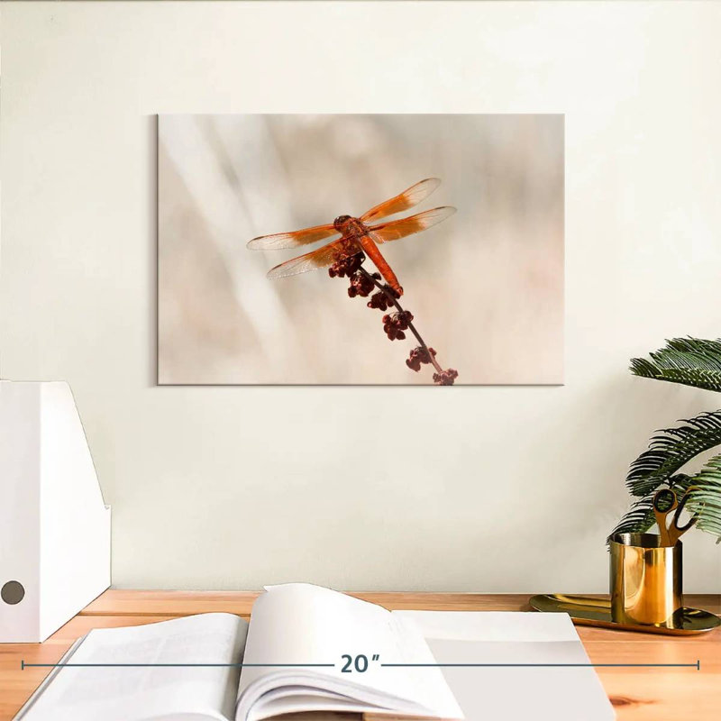 Chlorogomphus Dragonfly, 8" H x 12" W