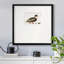 Canard colvert Baileyville-88450720