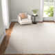 Asta Handmade Flatweave Jute/Sisal Ivory Area Rug
