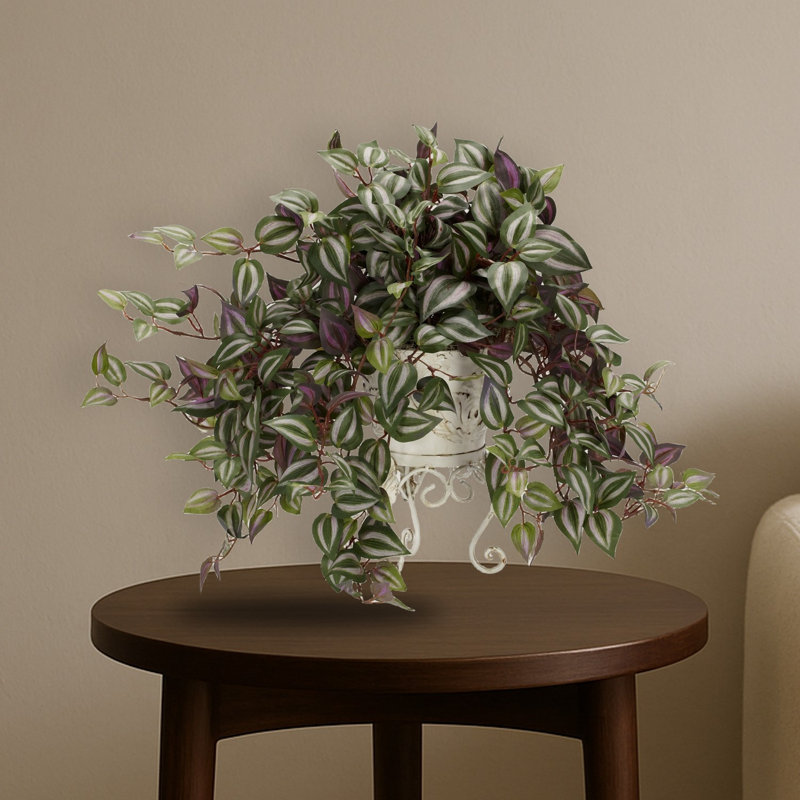 Wandering Jew Silk Plant with Metal Planter