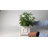 Faux Bamboo Cachepot