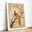 Pheasant and Blossom Japandi - Framed Print-126950123-126950126