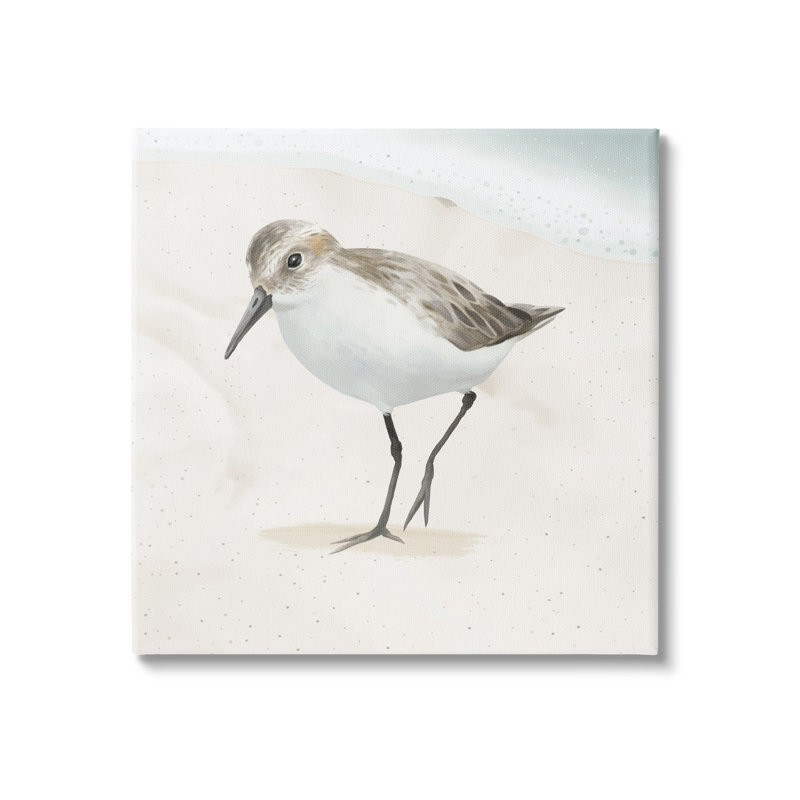 «Stepping Sandpiper Bird Ocean Shoreline Beach Scene» par Lucca Sheppard - impression sur toile tendue