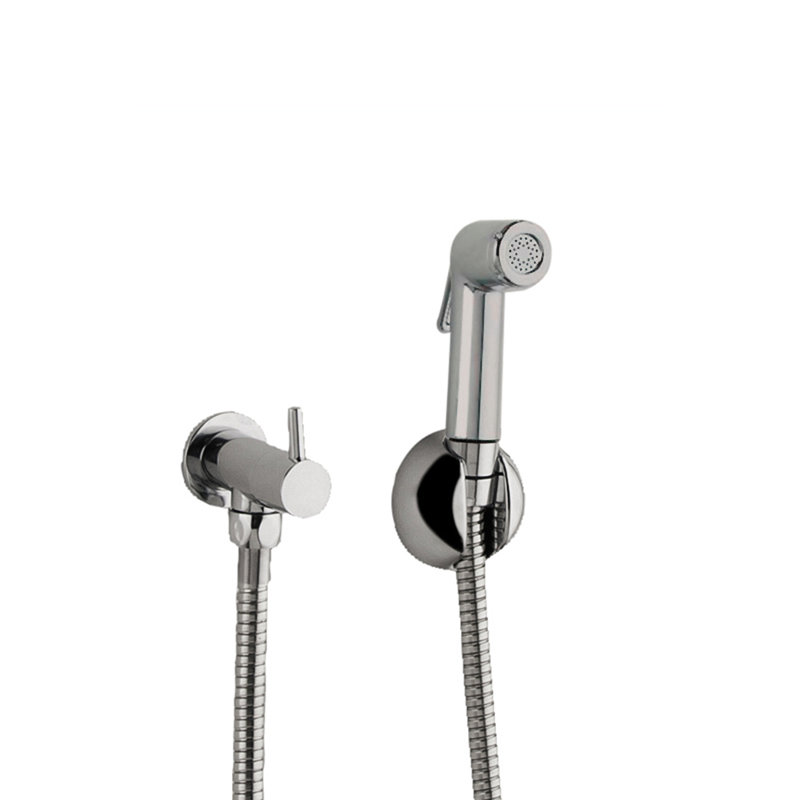 Chaz Full/Standard Handheld Shower Head