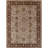 Oriental Indoor Rug-962933301