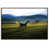 Black Floater Frame