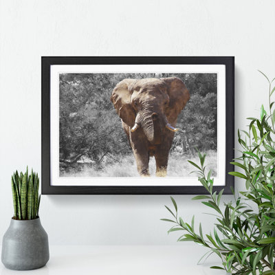 Elephant Vol.1 - Picture Frame Graphic Art
