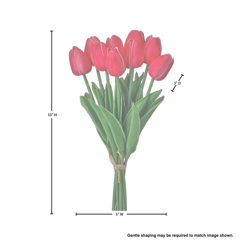 Ensemble de tulipes 13 po Eva, Rouge