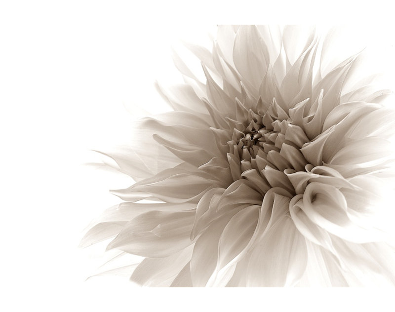 Wrapped Canvas Print, 50.8 cm H x 76.2 cm W