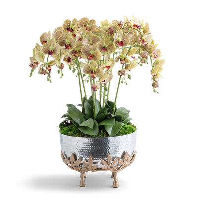 Orchids in Mixed Metal Urn