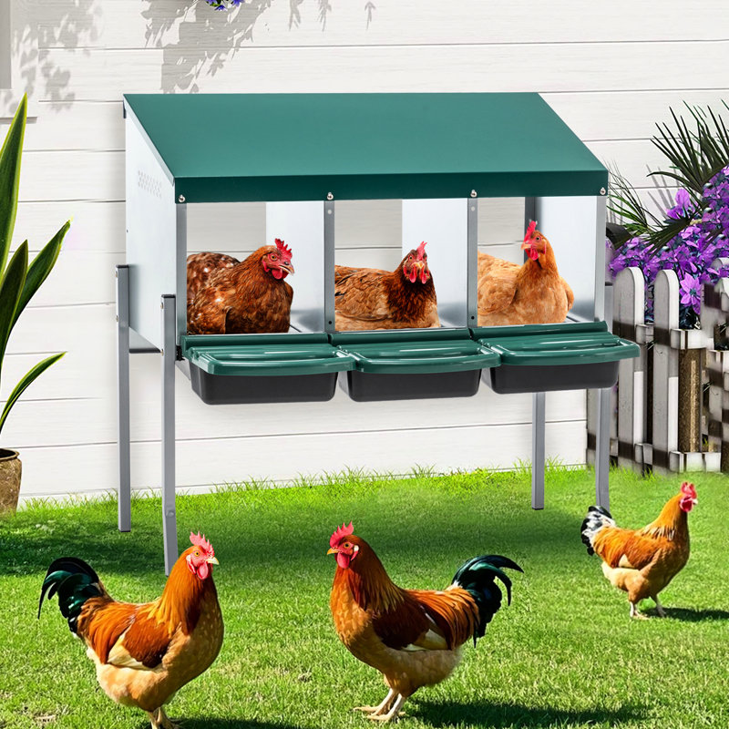 3 poules pondeuses avec des pattes et un couvercle pour la ferme extérieure, des ensembles privés pour améliorer le niveau d'efficacité de la production d'œufs, un système de roulement à 3 œufs, une ventilation efficace