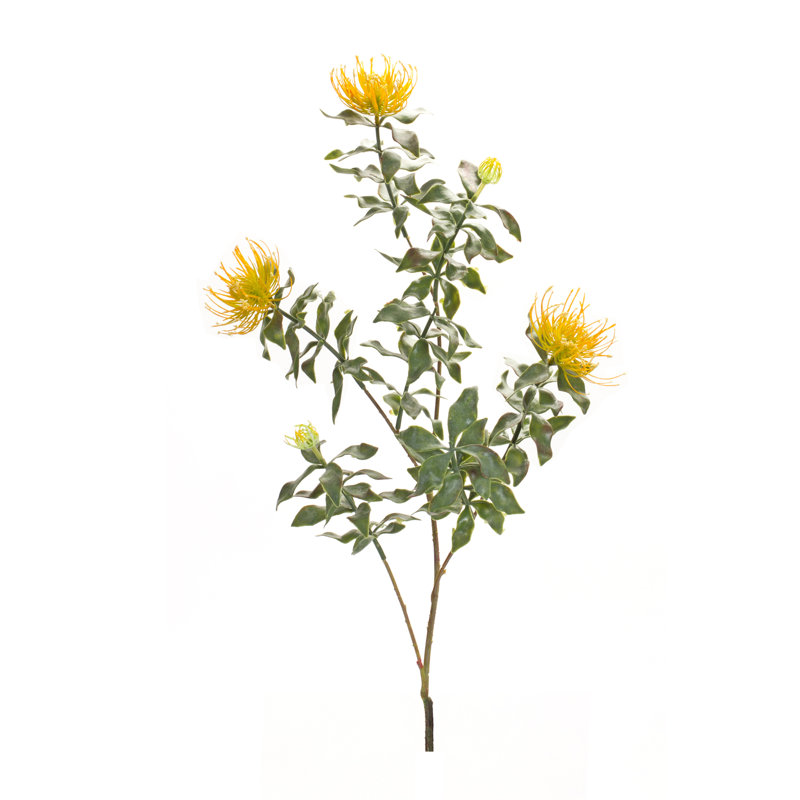Protea Arrangement, Yellow