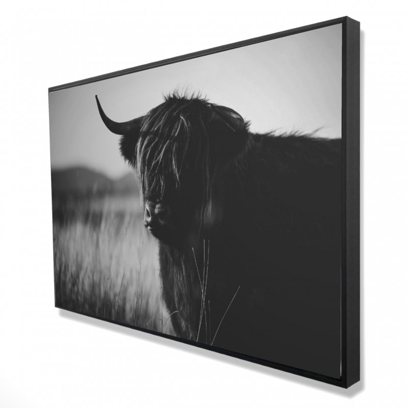 "Belle vache monochrome Highland" sur toile