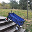 Chariot de plage pliable-113855340