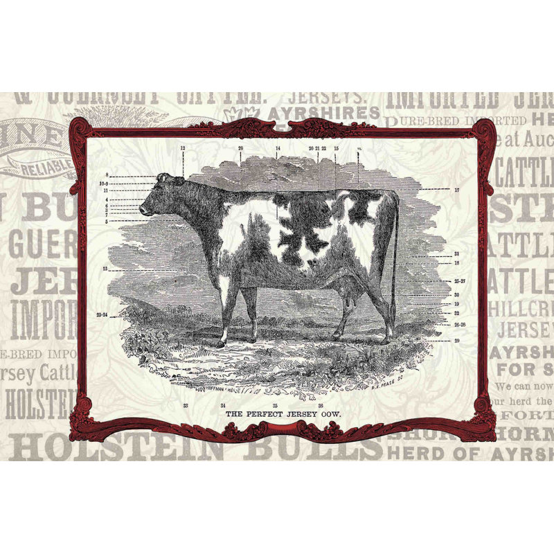 Cow - Wrapped Canvas Print, 30cm H x 45cm W x 3.81cm D